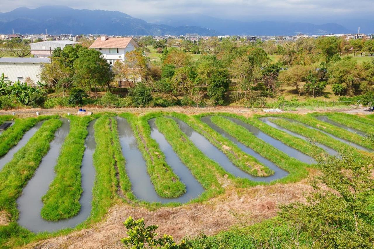 Apartmán Fish House 宜蘭獨棟別墅 戲水池 生態diy 安農溪自行車 Dongshan  Exteriér fotografie